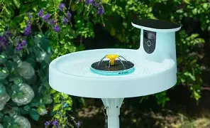 Gopro Lit Hero vs Birdfy Bird Bath Pro: Which Should You Buy?